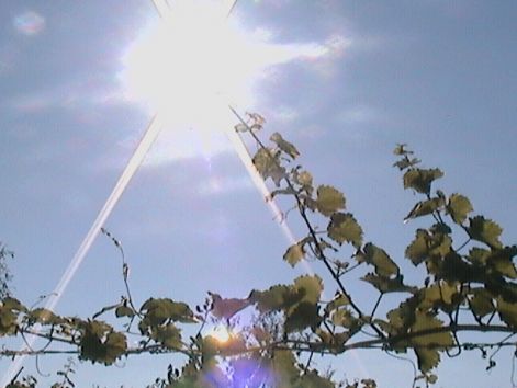 dcam0033.jpg