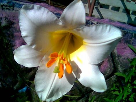 k_p004.jpg